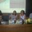 Painel 1