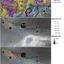 Tectonic structures and extensional strains of the Melas Chasma rift (Vaz, 2010)