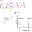 Astrocyte-Neuron network