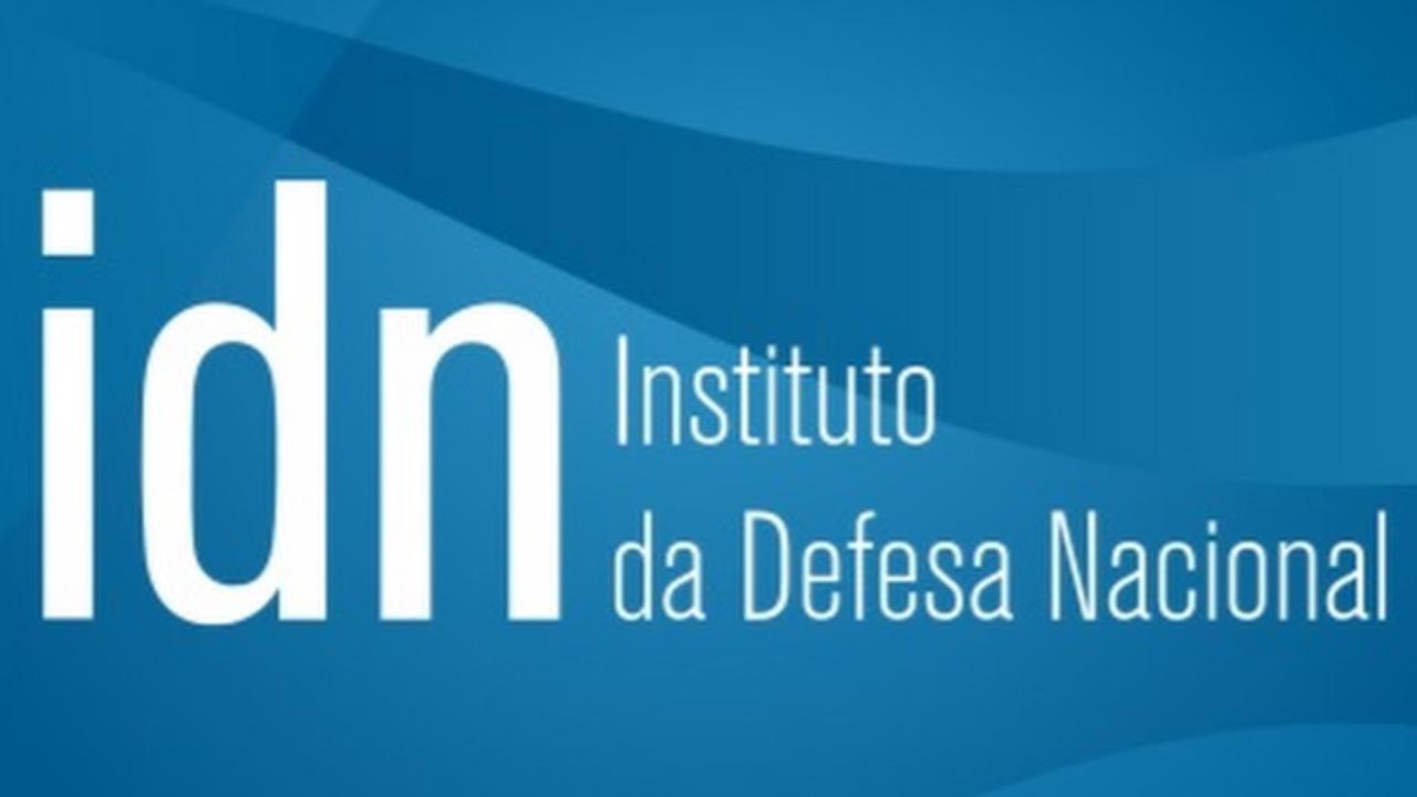 IDN logotipo