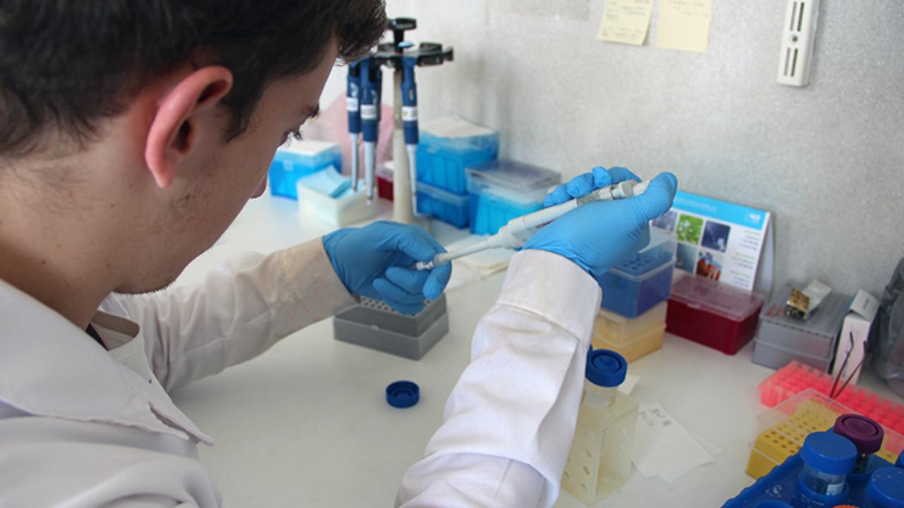 Laboratorio