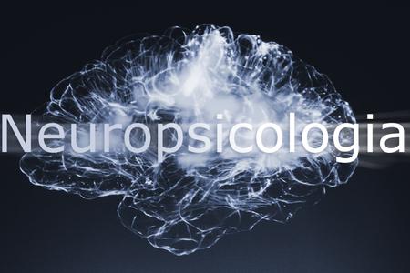 Inter-university Master in Clinical and Experimental Neuropsychology (IMCEN)