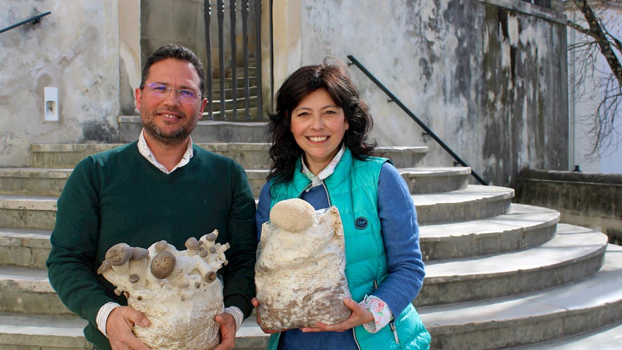Ricardo Torres, da Fungiperfect, e Anabela Marisa Azul, investigadora da UC e coordenadora do projeto.