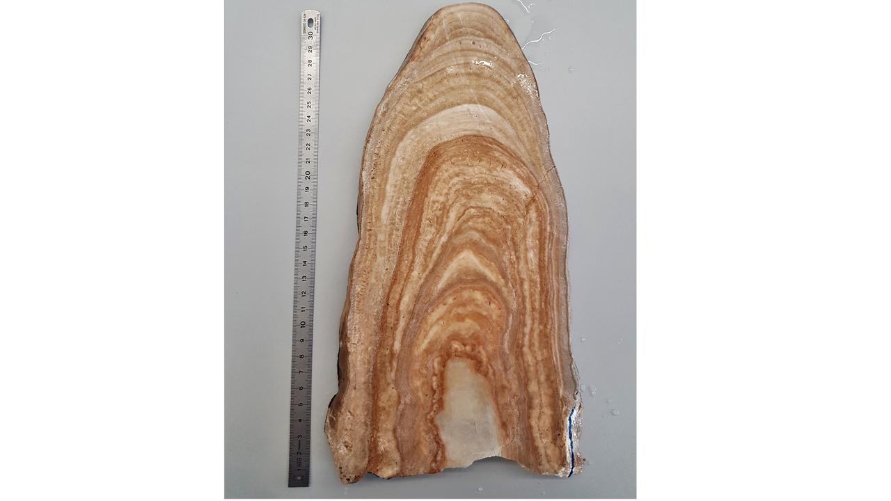 speleothem