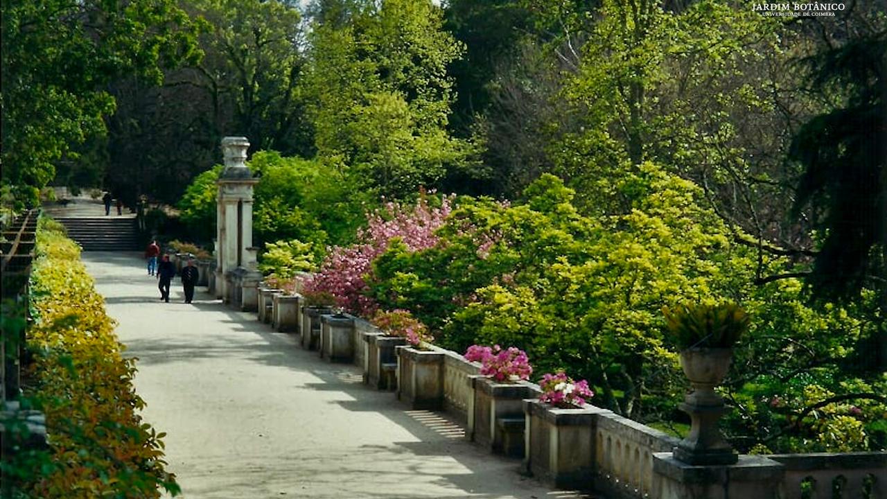 Reabertura do Jardim
