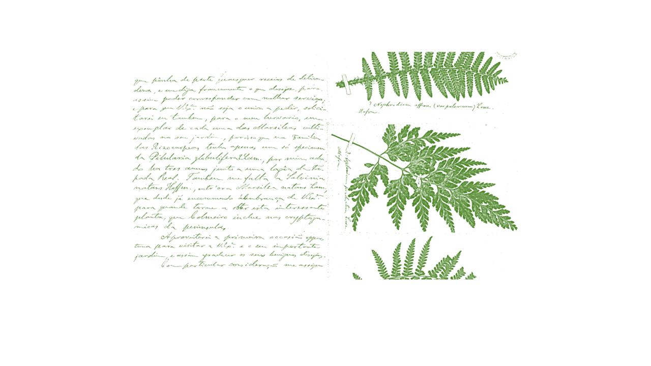 cartas da natureza