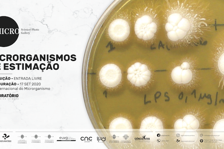 Microrganismos