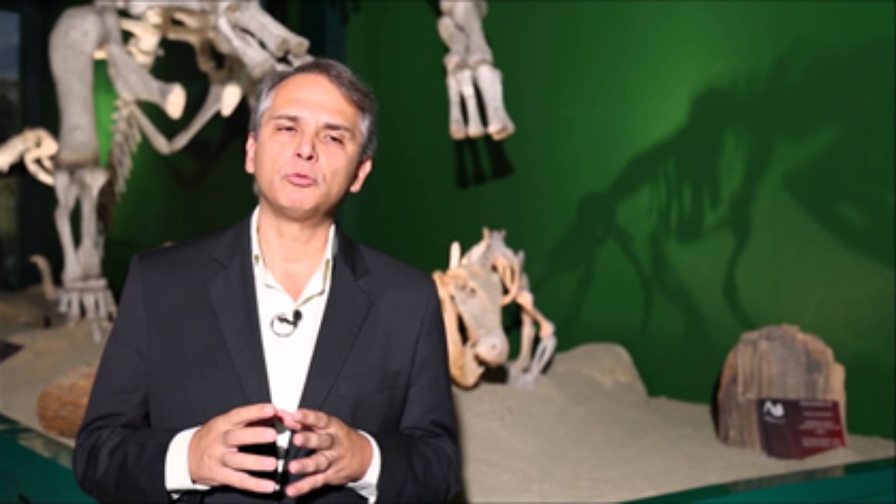 Professor Doutor Ismar Carvalho