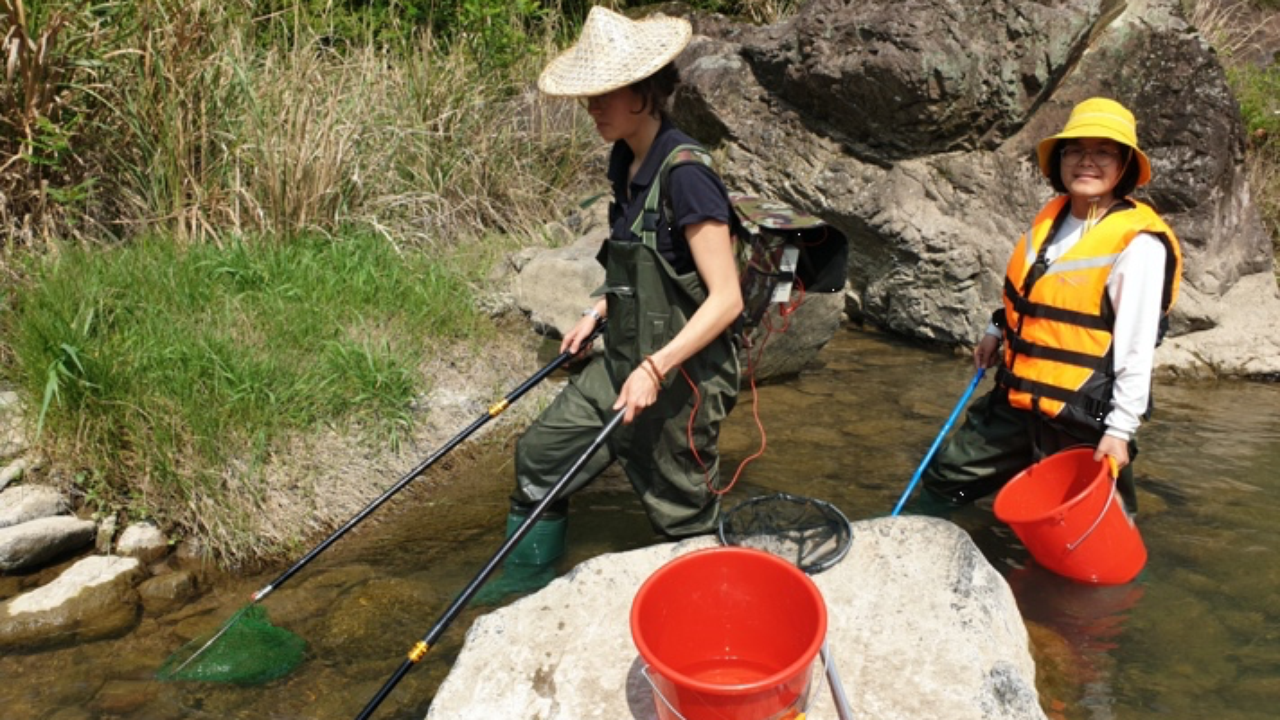 Electric fishing | Province of Zhejiang, China
