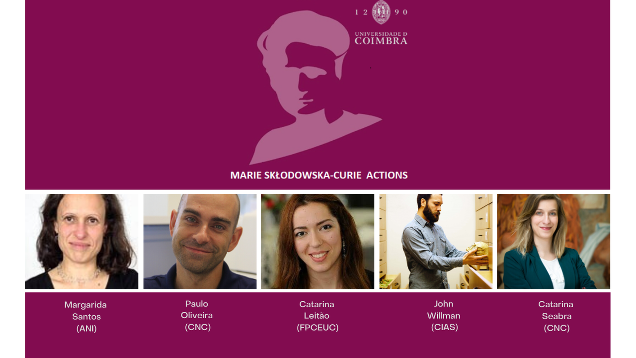 MarieCurie@UC Individual Fellowships
