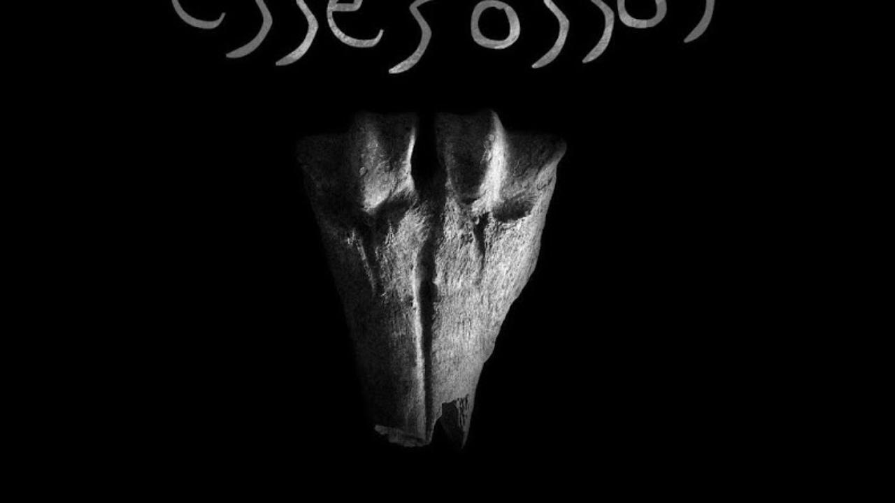 Apresentação do livro "Esses Ossos" | 28 Setembro, 15:30 | Museu Monográfico de Conimbriga - Museu Nacional