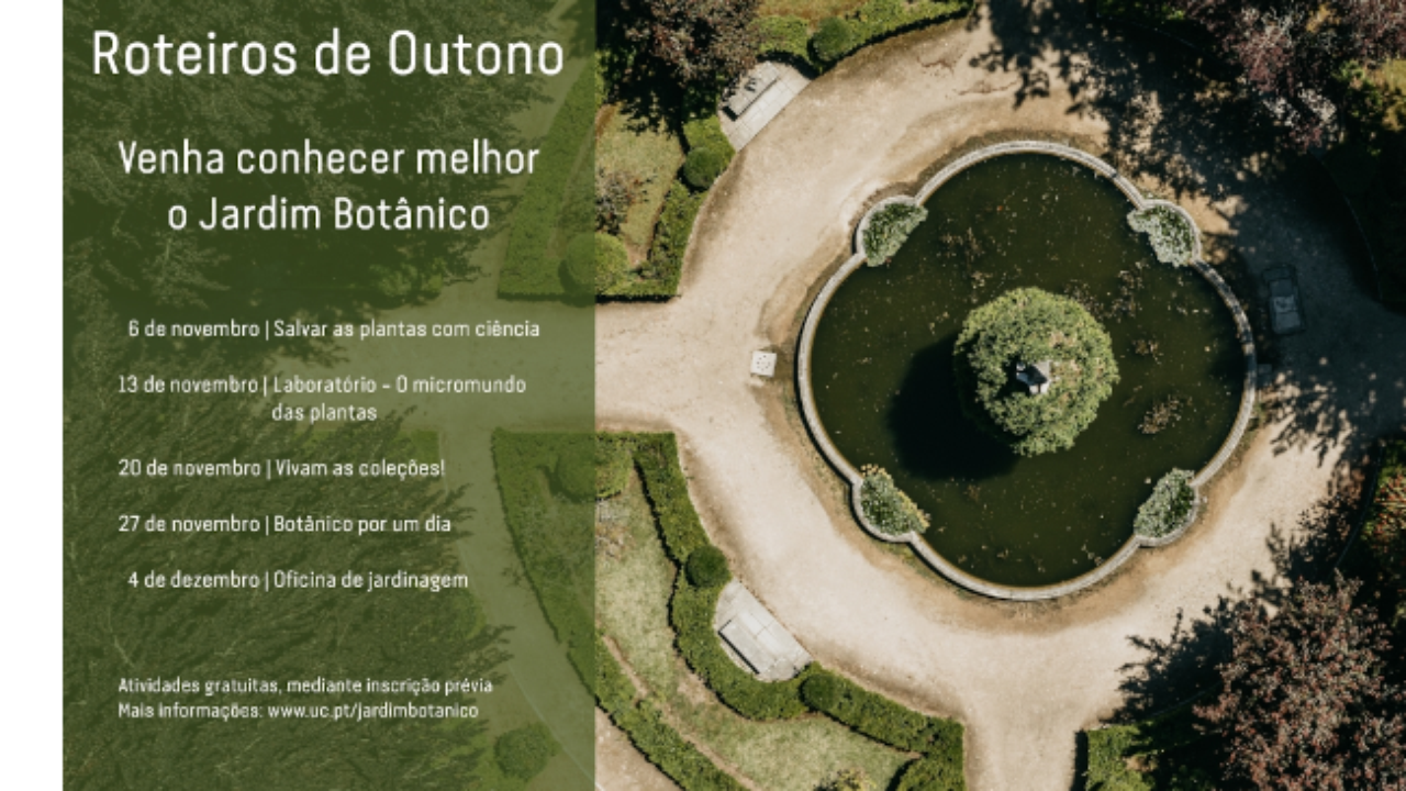 cartaz
