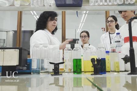 Estágios Ciência Viva no Departamento de Química