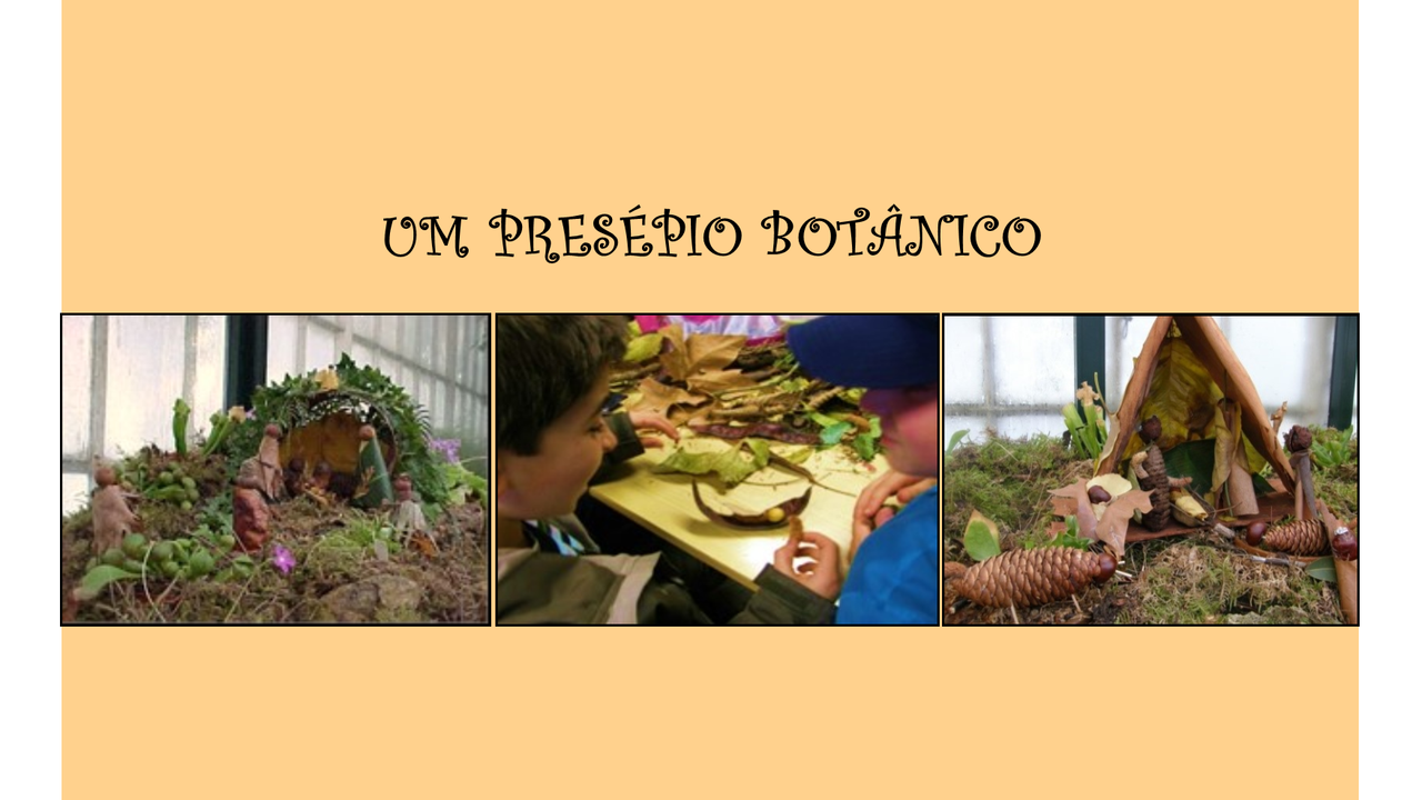 Um Presépio Botânico