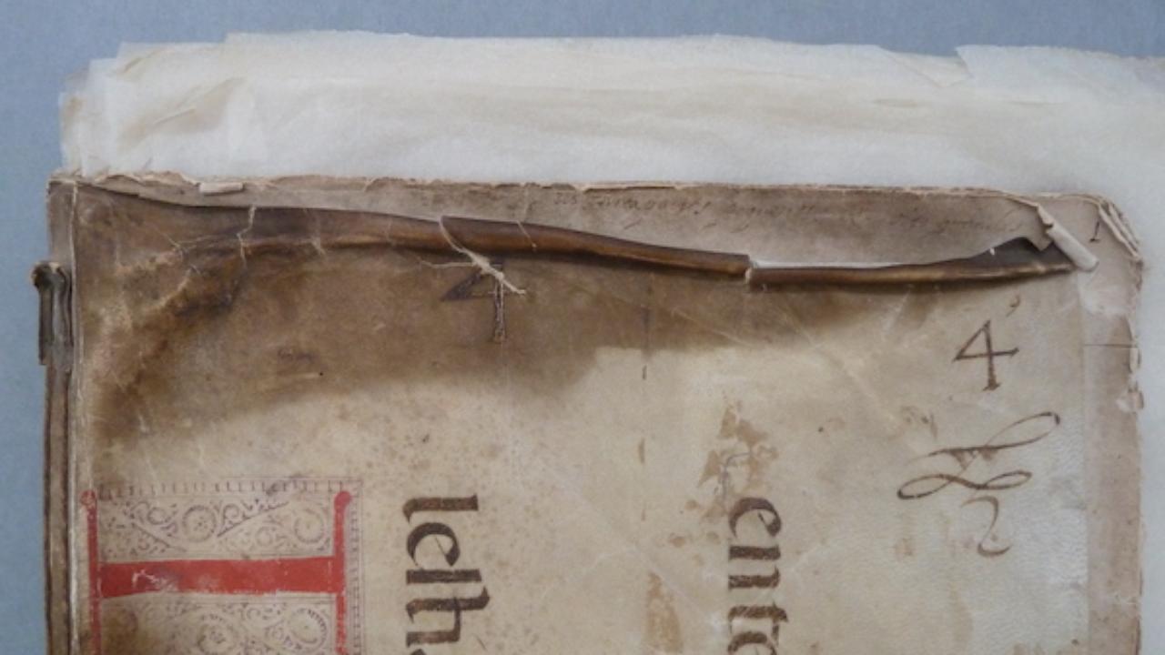 Alguns manuscritos antes da recuperação