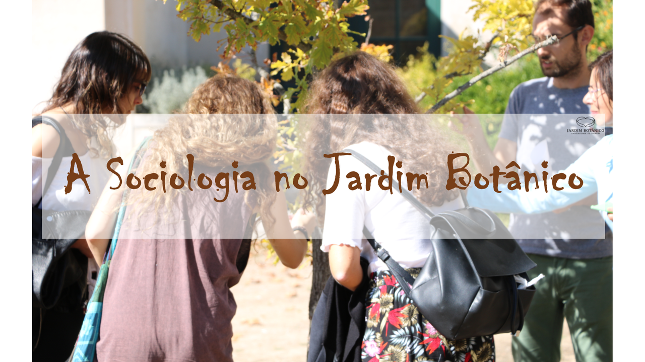A Sociologia no Jardim Botânico
