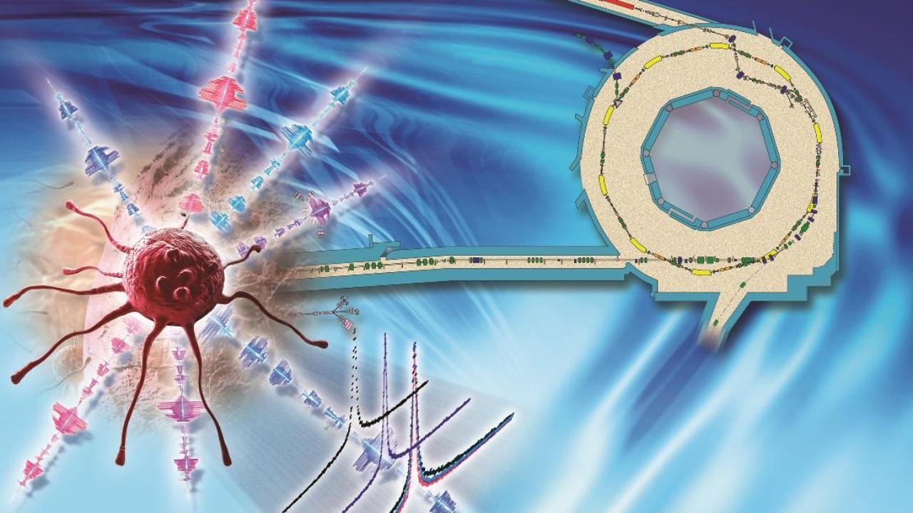 Análise da água intracelular numa célula cancerígena humana por um feixe de neutrões (na ISIS Facility, Reino Unido)