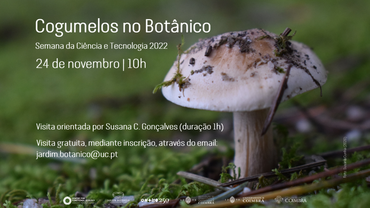 Cogumelos no Botânico C&T2022