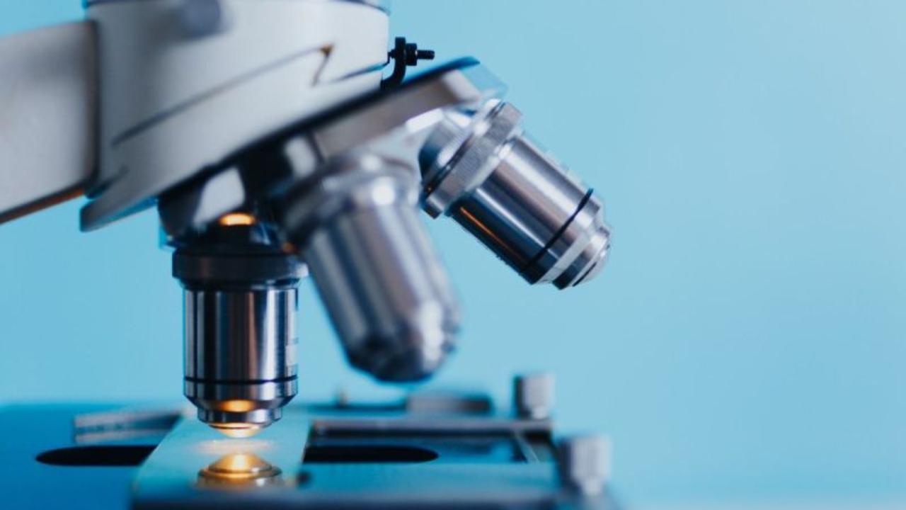 Trial gratuito, Recursos digitais, Medicina