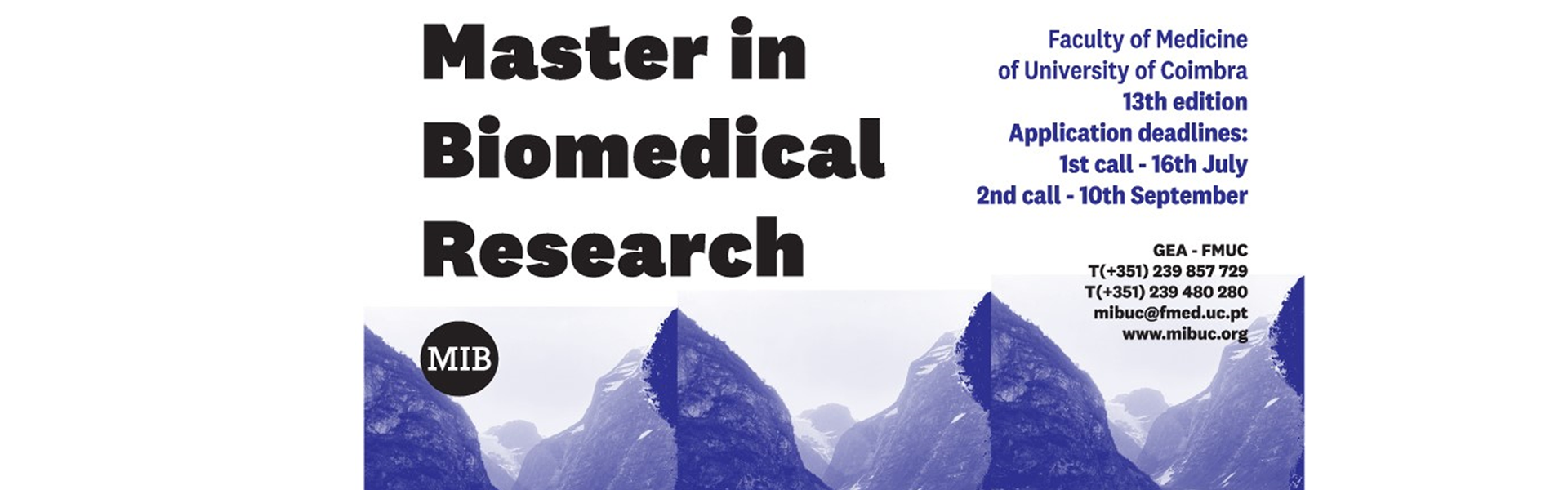 XI Edition of the Master in Biomedical Research